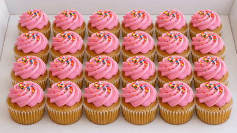 Mini Cupcake Box (24) Mini Cupcake Box (24)